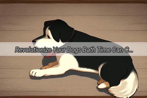 Revolutionize Your Dogs Bath Time Can Citrus Peel Extracts Make the Difference